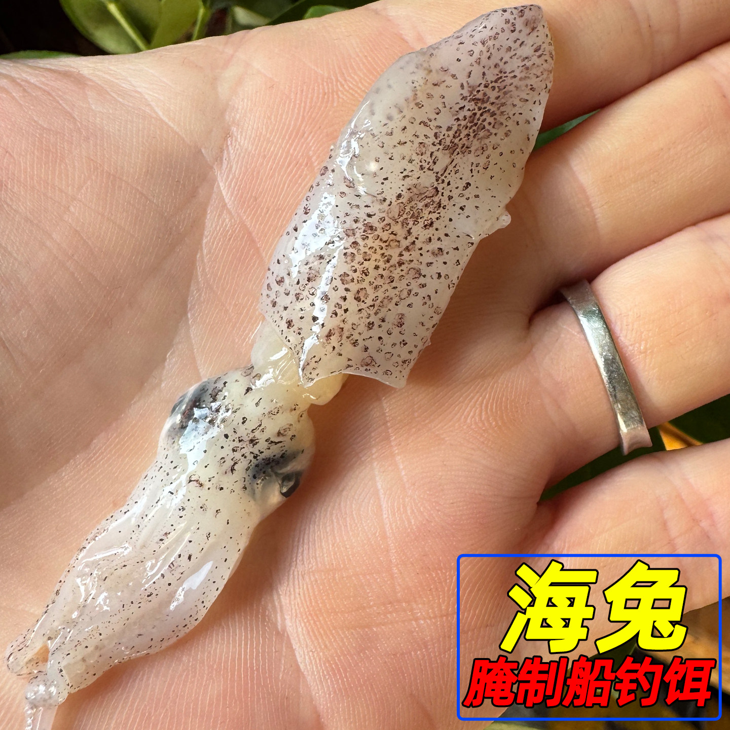 海钓船钓黑头黄鱼鱼饵