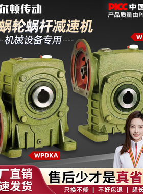 WPDKA/WPDKS60 70 80 100 120 135蜗轮蜗杆减速机变速齿轮箱波箱