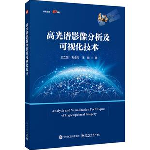 高光谱影像分析及可视化技术 电子工业出版社 王立国 著 图形图像/多媒体（新）
