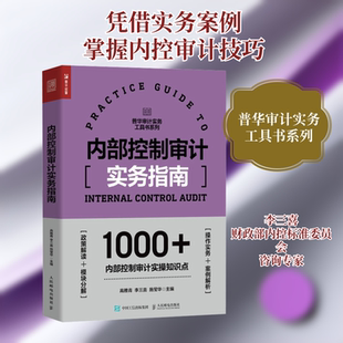 正版现货 内部控制审计实务指南 高雅青,李三喜,施莹华 编 人民邮电出版社 统计 审计