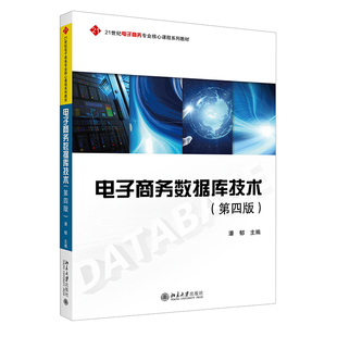 直发 电子商务数据库技术第四版 21世纪电子商务专业核心课程系列教材 社9787301334164 现货正版 新版 北京大学出版