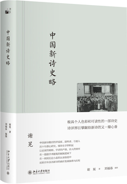 正版现货直发 中国新诗史略9787301284056 北京大学出版社 - 实物图