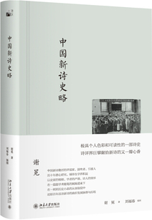 正版现货直发 中国新诗史略9787301284056 北京大学出版社