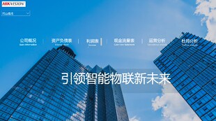 powerbi 财务看板,财务可视化模板