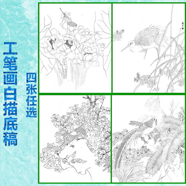 中国工笔画白描底稿花鸟适合初学者练习线条临摹过稿用4张任选,家居饰品,国画,淘宝优惠券,粉丝福利购,淘宝优惠卷