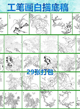 工笔画白描底稿花鸟适合初学者