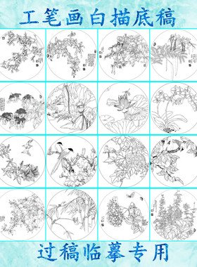 花卉工笔画白描底稿实物线描画稿花鸟圆形扇面过稿专用