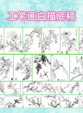 植物花卉工笔画白描底稿白纸线描画稿勾线临摹过稿王道中画稿之四