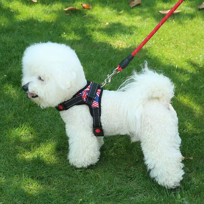 狗狗牵引绳背心式胸背带大型犬遛图片