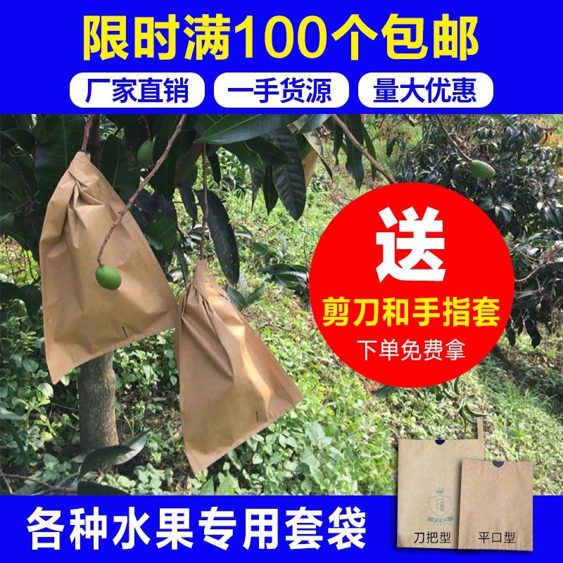 Paper Bags Persimmon Yellow peach Bird Pears Autumn pear high quality Pear bag Antifreeze Bagging Peach bag Dedicatedin the Flower delivery/Flowers simulation/Plants gardening , Gardening supplies , Other Garden Supplies  category - from Buy2taobao.com to provide professional Taobao agent buy service
