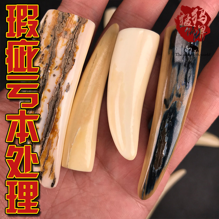 猛犸象牙牙尖蓝皮金皮瑕疵处理文玩项链吊坠挂件原皮3a冰料保真