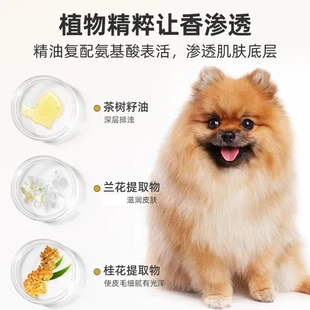 配方洗护浴液洗澡香水狗狗雪貂宠物里香500ml香波猫咪用品7沐浴露