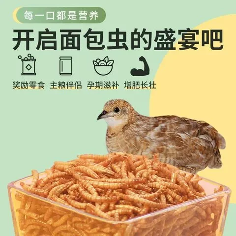 面包虫干芦丁鸡刺猬粮食虫干花枝鼠龟粮食黄粉仓鼠零食零食饲料