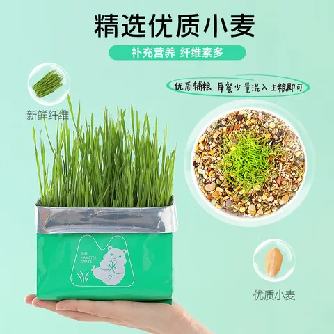 小零食水培营养小萌无土金丝熊助消化鼠草辅助懒人饲料悦仓鼠粮食