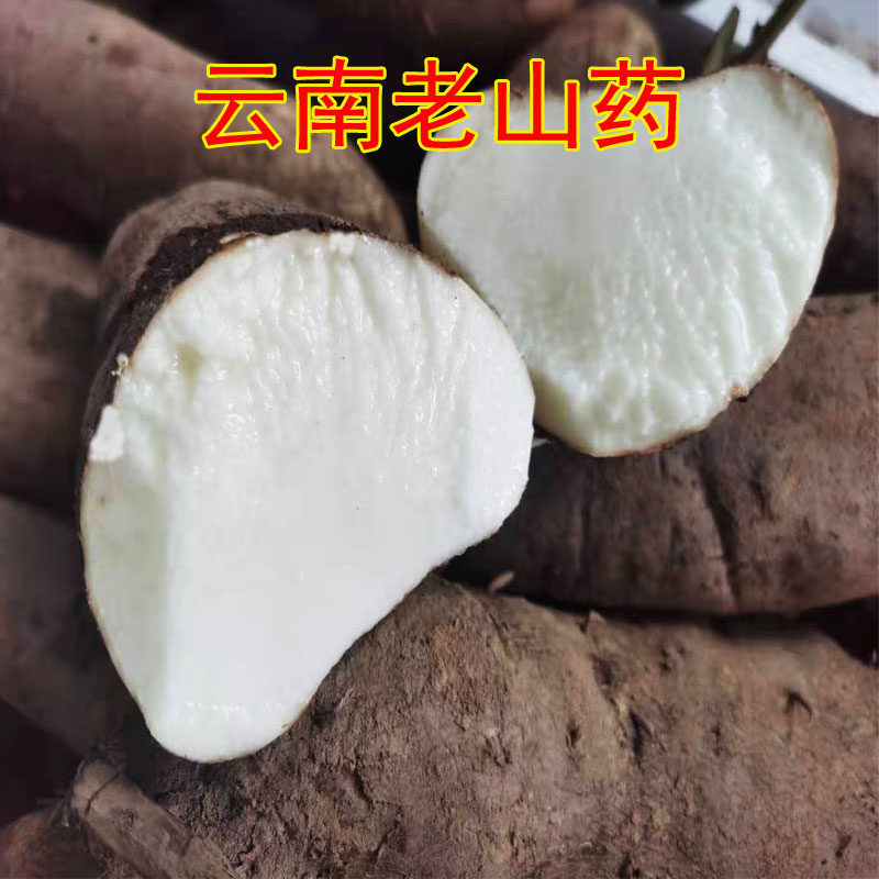 云南新鲜蔬菜老山药本地老品种山药非铁棍山药短小山药,水产肉类/新鲜蔬果/熟食,新鲜山药,淘宝优惠券,粉丝福利购,淘宝优惠卷