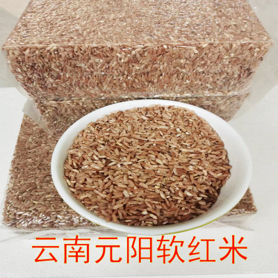 云南特产红米元阳梯田