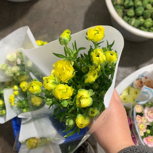 柠檬黄蝴蝶洋牡丹一扎不 包邮