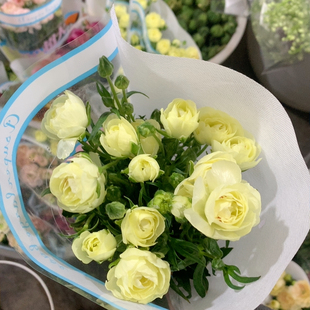 超大基地利泰蝴蝶洋牡丹一扎不 包邮