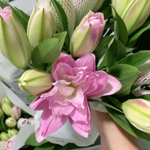 莲花微风重瓣百合双头5支不包邮