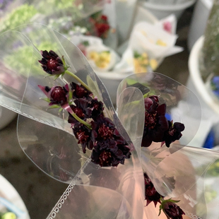 20支巧克力秋英不 包邮