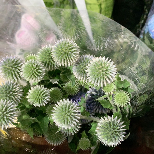 蓝星球一扎不包邮