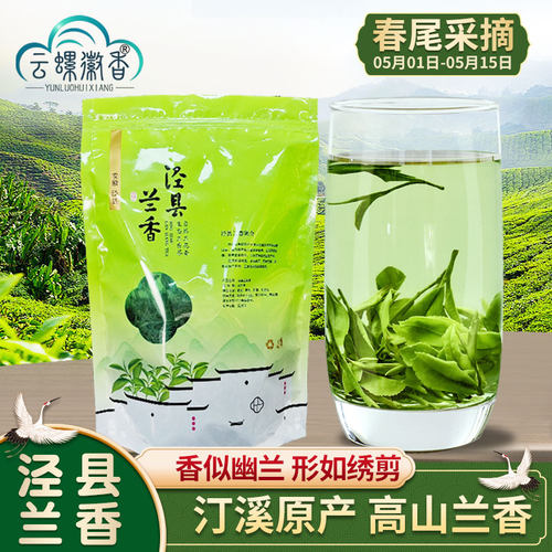 泾县兰香高山云雾绿茶汀溪原产