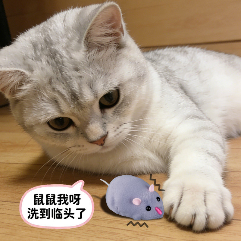 电动遥控小老鼠男孩3到6岁5儿童4仿真耗子会动的智能玩具2026新款