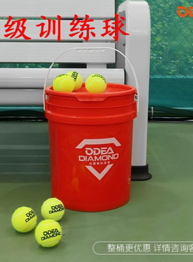 ODEA欧帝尔网球Diamond无压耐打训练球DD8成人进阶网球桶装72粒