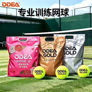 ODEA欧帝尔网球成人训练球无压耐打耐磨练习球DD2 DD3 DD8 GOLD