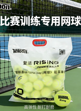 Teloon天龙网球复活Rising成人训练球专业高弹力耐打耐磨练习球