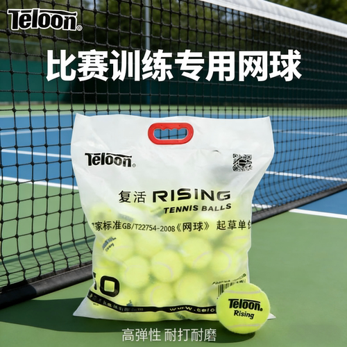 Teloon天龙网球复活Rising成人训练球专业高弹力耐打耐磨练习球