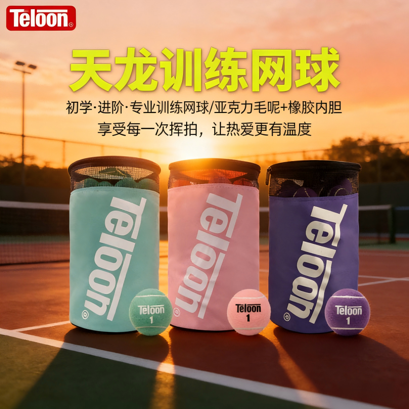 Teloon天龙网球训练球专业耐打耐磨练习球比赛网球无压初学训练球