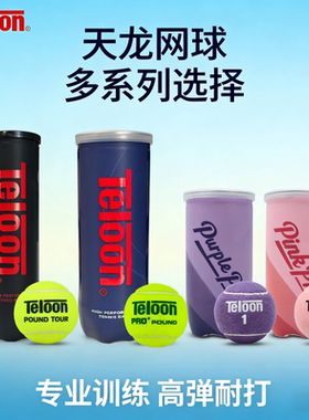 Teloon天龙网球pound P4高弹专业比赛球耐打耐磨训练4粒桶装网球
