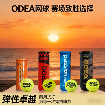 Odear欧帝尔网球Passion专业比赛训练球高弹力耐打气压足4粒罐装