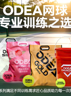 欧帝尔网球高弹耐打耐磨