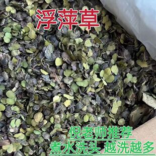 浮萍中药材浮萍药用紫背浮萍田萍野生干浮萍洗发另售侧柏叶浮萍粉