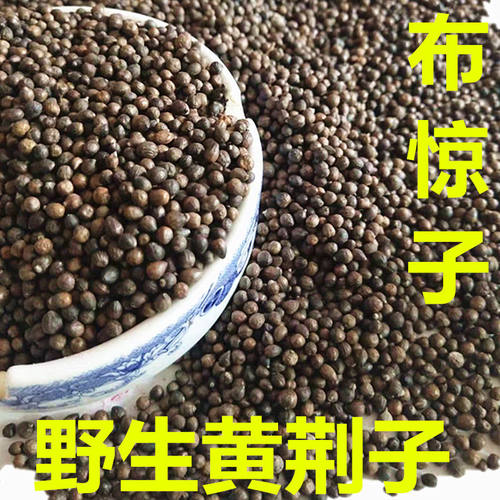 黄荆子婴儿枕头布惊子填充物布惊籽布荆仁黄金子百草籽散装颗粒