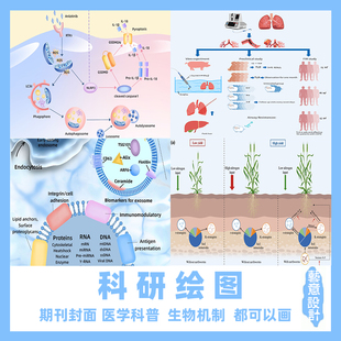 科研绘图代画医学生物TOC机制3d建模封面ppt流程示意图技术路线图