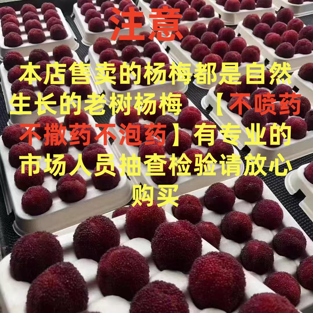 仙居东魁杨梅