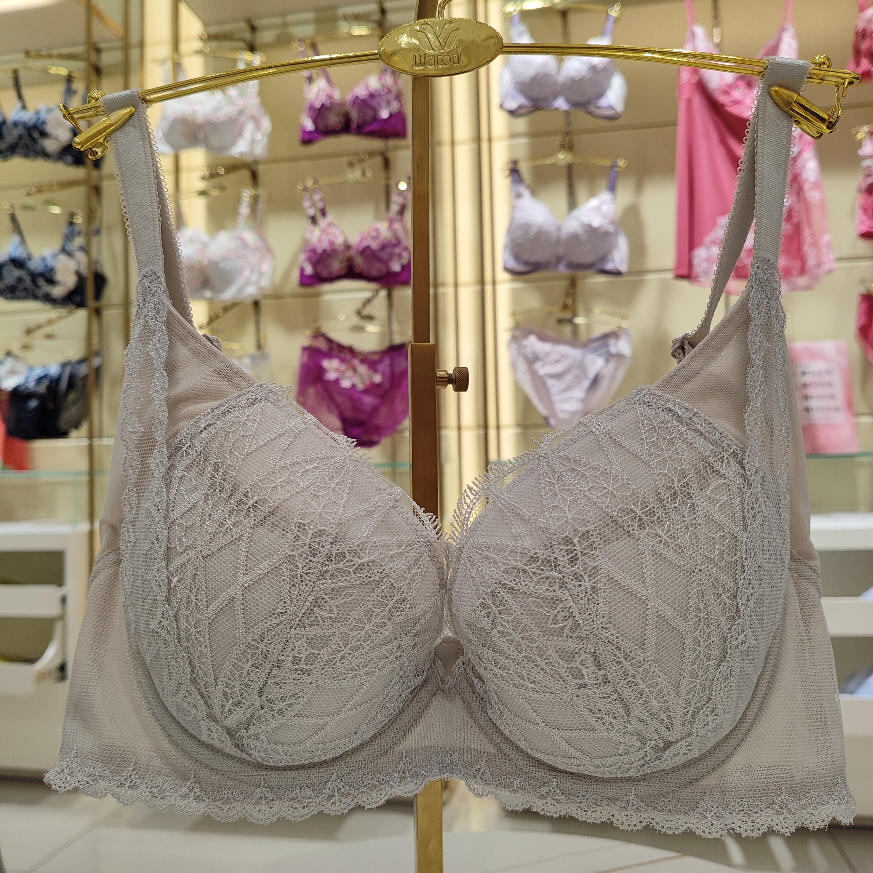 华歌尔WB38E5 powershape铂尔西侧线美聚拢收副乳女性文胸899