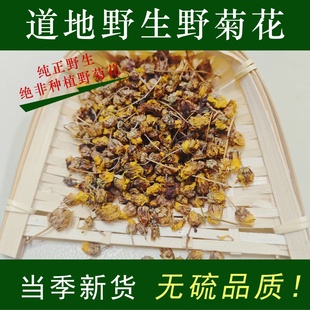 正宗天然野菊花中药材正品散装苦大别山野菊花特级野生泡水胎菊茶