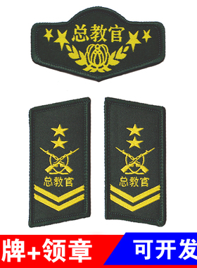 教官标志军训服装胸牌领章