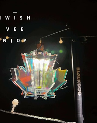 Gz灯罩goalzero户外露营灯氛围灯炫彩枫叶灯罩营地灯罩