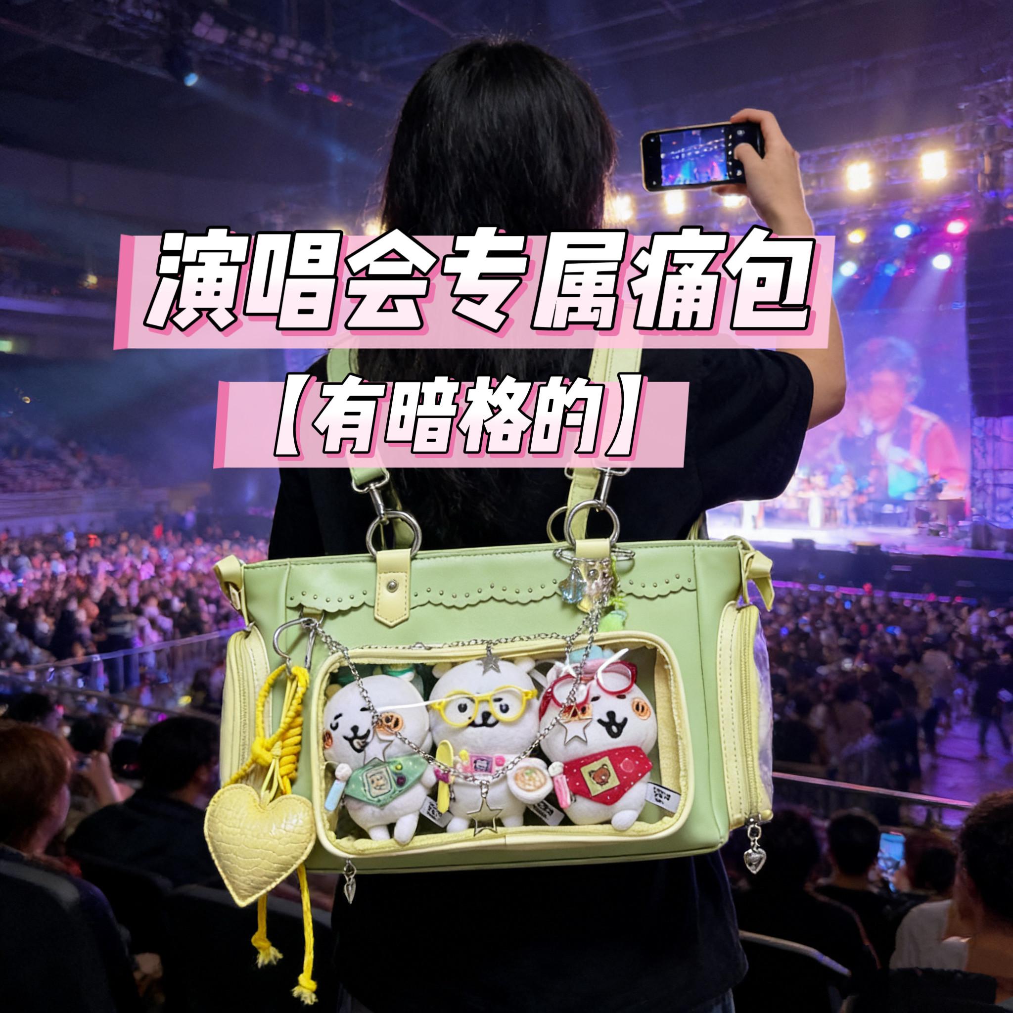 演唱会【有暗格】痛包图片