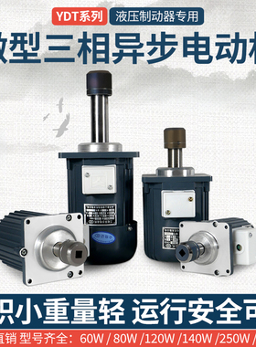 南阳微防微型三相异步电机制动器象山/南召/天力YDT/ASF 60W80W