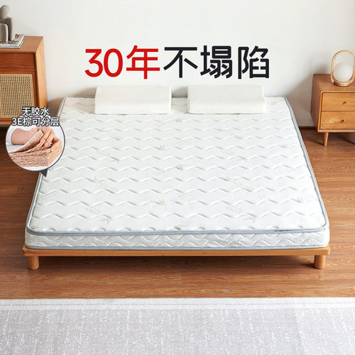 纳眠椰棕床垫榻榻米棕榈硬垫