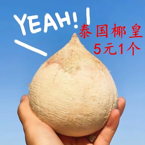 椰子泰国进口牛奶椰皇好喝新鲜青椰汁奶香水果老椰肉整箱批发包邮