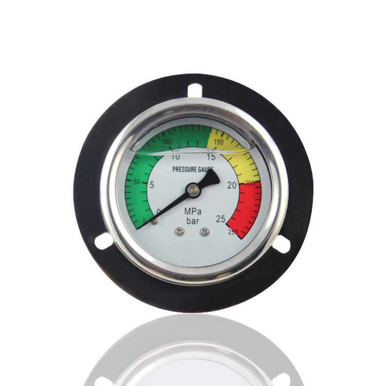 不锈钢压力表不锈钢耐震压力表充油抗震压力表轴向带前边Y60 25MP