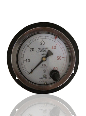 供贴面热压机压力表秋林木工机械表Y100ZT 60MPA M20*1.5工厂直销