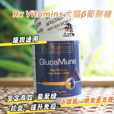 美国Rx vitamins狗猫β葡聚糖免疫宠物杯状肿瘤免疫调节补充